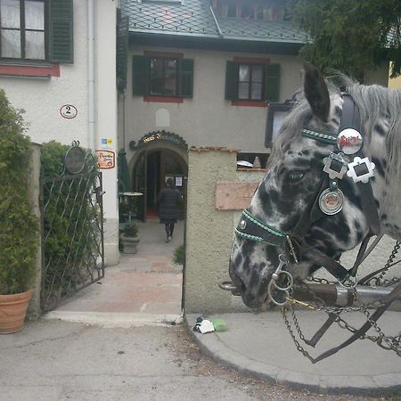 Haus Wartenberg ซาลซ์บูร์ก ภายนอก รูปภาพ