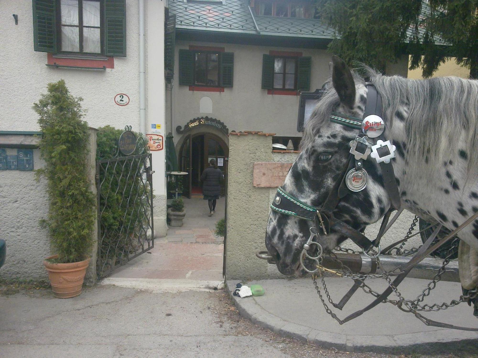 Haus Wartenberg ซาลซ์บูร์ก ภายนอก รูปภาพ